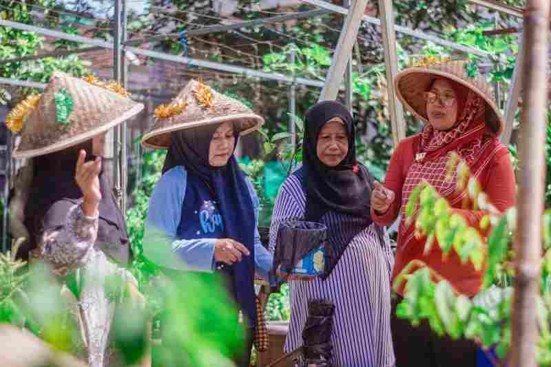 Lansia Produktif Lewat Program Kebun Gizi di Ratujaya